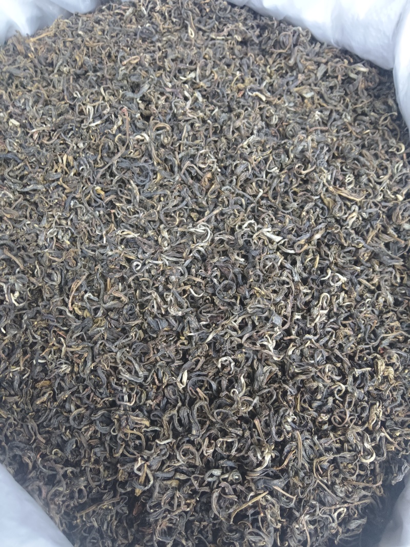 云南屏边普洱老树春茶