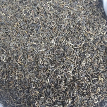 云南屏边普洱老树春茶