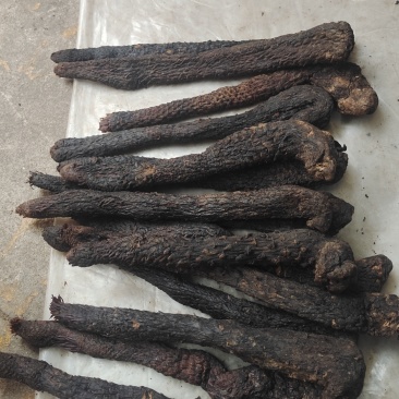 400到500克肉苁蓉