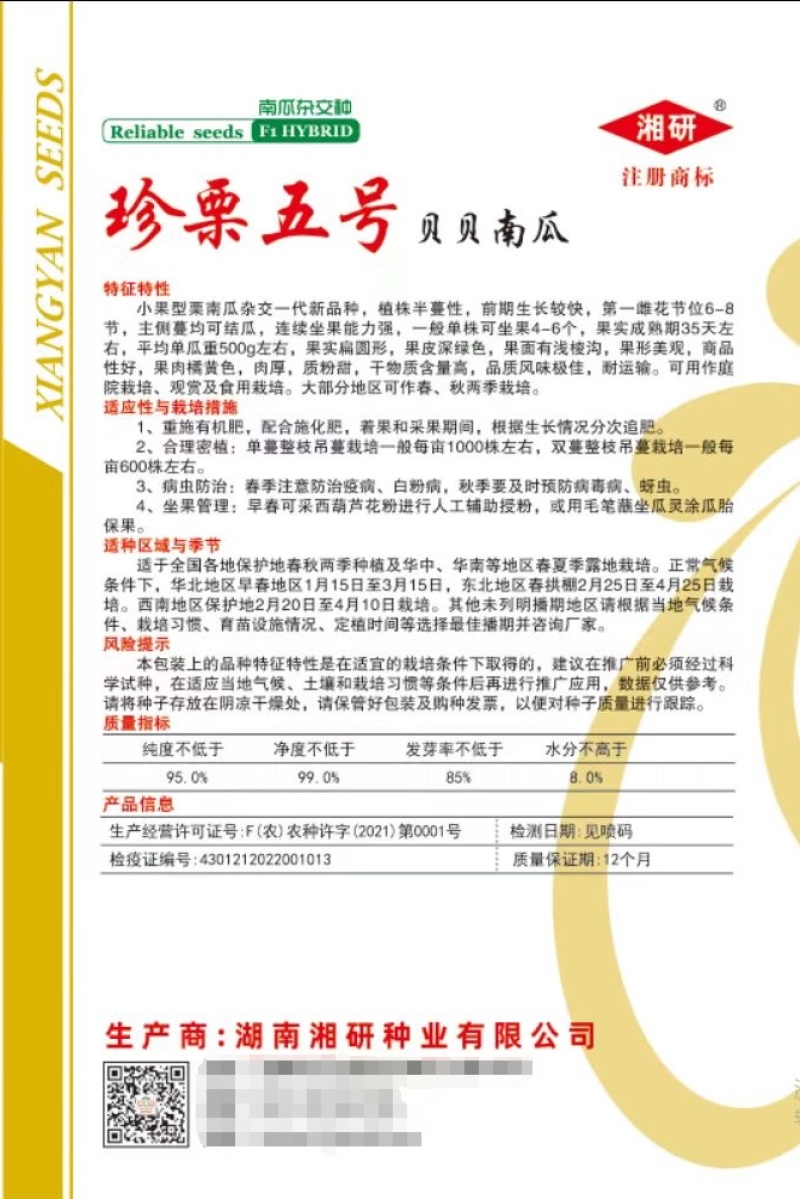 珍栗五号贝贝南瓜种子肉厚质粉甜耐储运抗性强