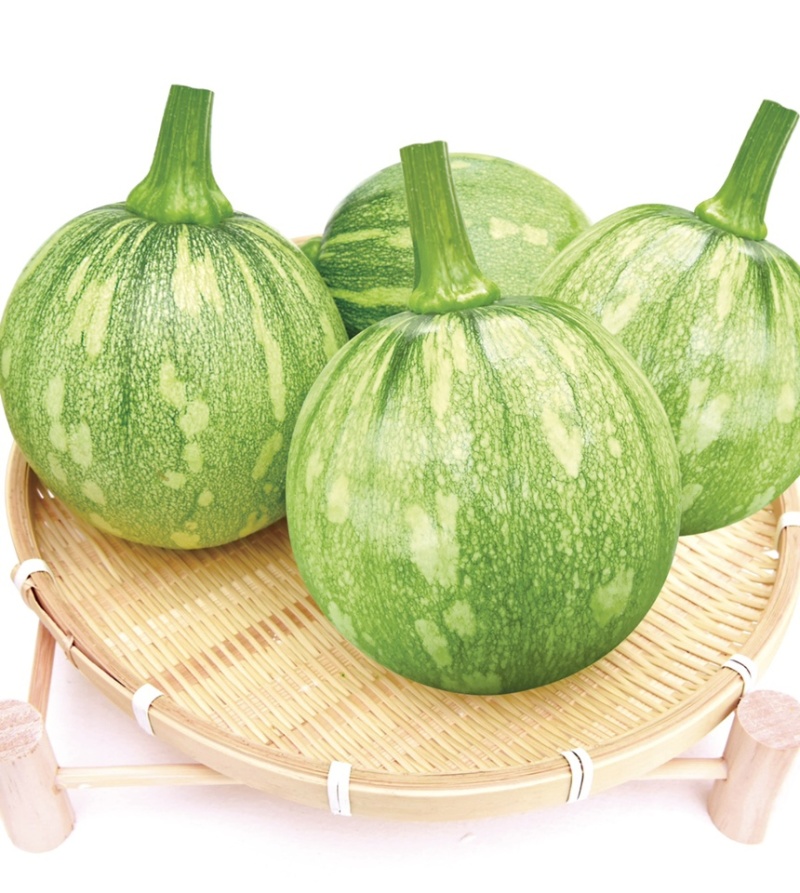 湘研早妃早熟第一雌花5-7节抗性强芽率好