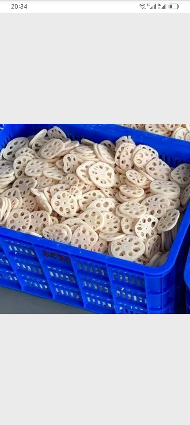 半成品盐渍藕夹片，厚度4毫米，清水藕片