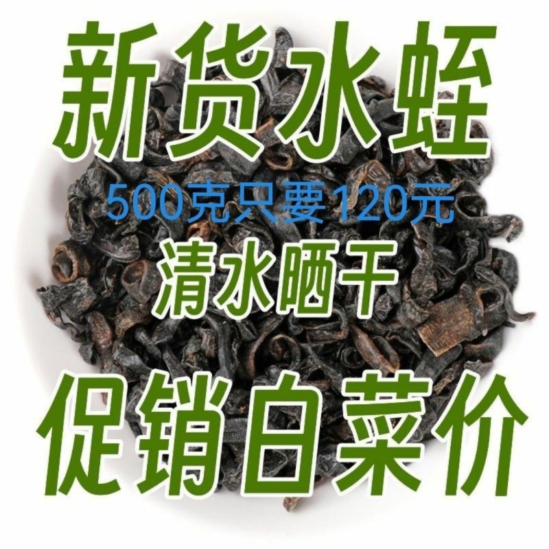 中药材清水蛭整条吊干宽体蚂蟥干水蛭可打粉