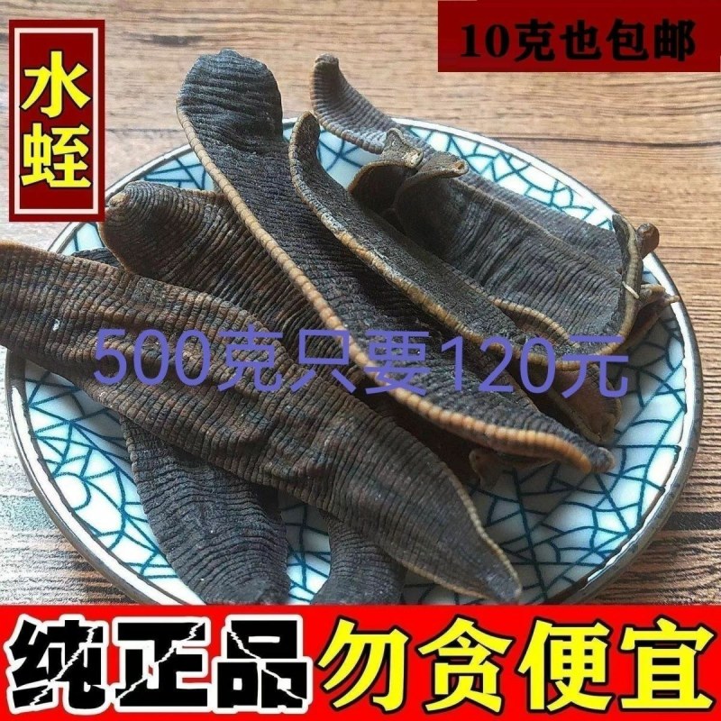 中药材清水蛭整条吊干宽体蚂蟥干水蛭可打粉