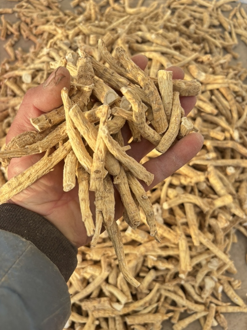 【实力推荐】西洋参丁一首货源产地直发量大价优包邮
