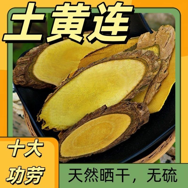 精选深山正品十大野生功劳木中草药、鸡爪黄莲！