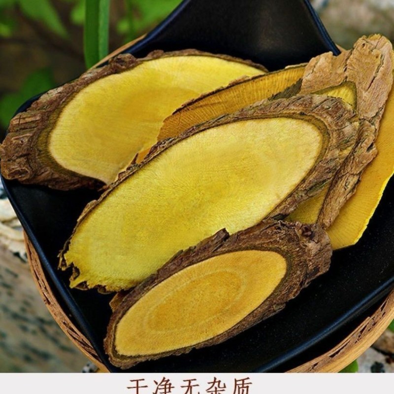 精选深山正品十大野生功劳木中草药、鸡爪黄莲！