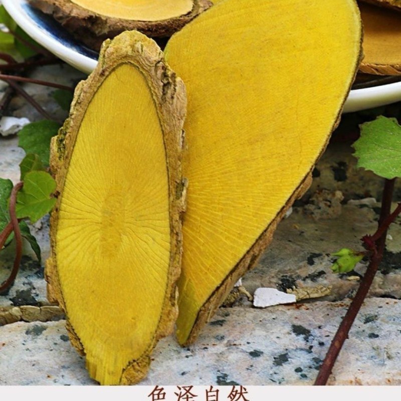 精选深山正品十大野生功劳木中草药、鸡爪黄莲！