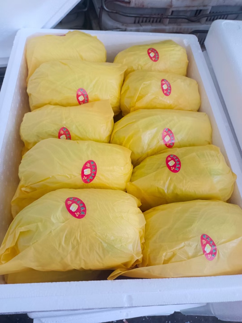 【大娃娃菜】云南玉溪产地直供质量保证货源充足欢迎订购