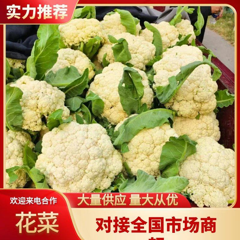 花菜松花菜青梗小米花菜湖北散花产地直发支持视频