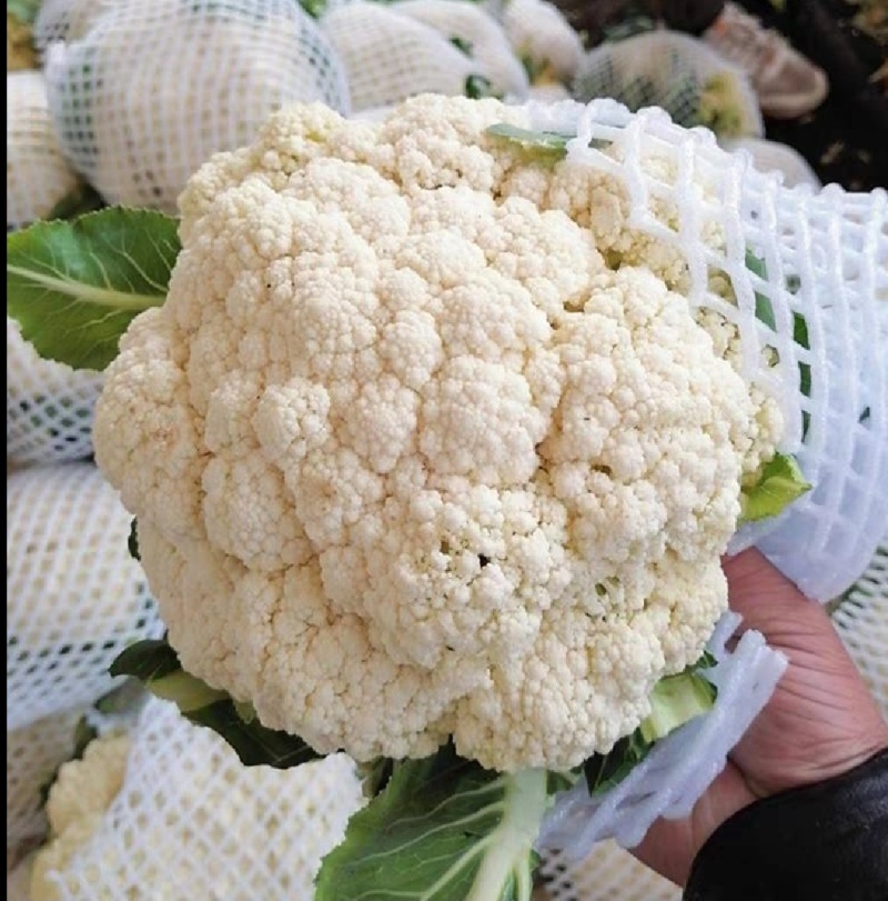 花菜松花菜青梗小米花菜湖北散花产地直发支持视频