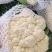 花菜松花菜青梗小米花菜湖北散花产地直发支持视频