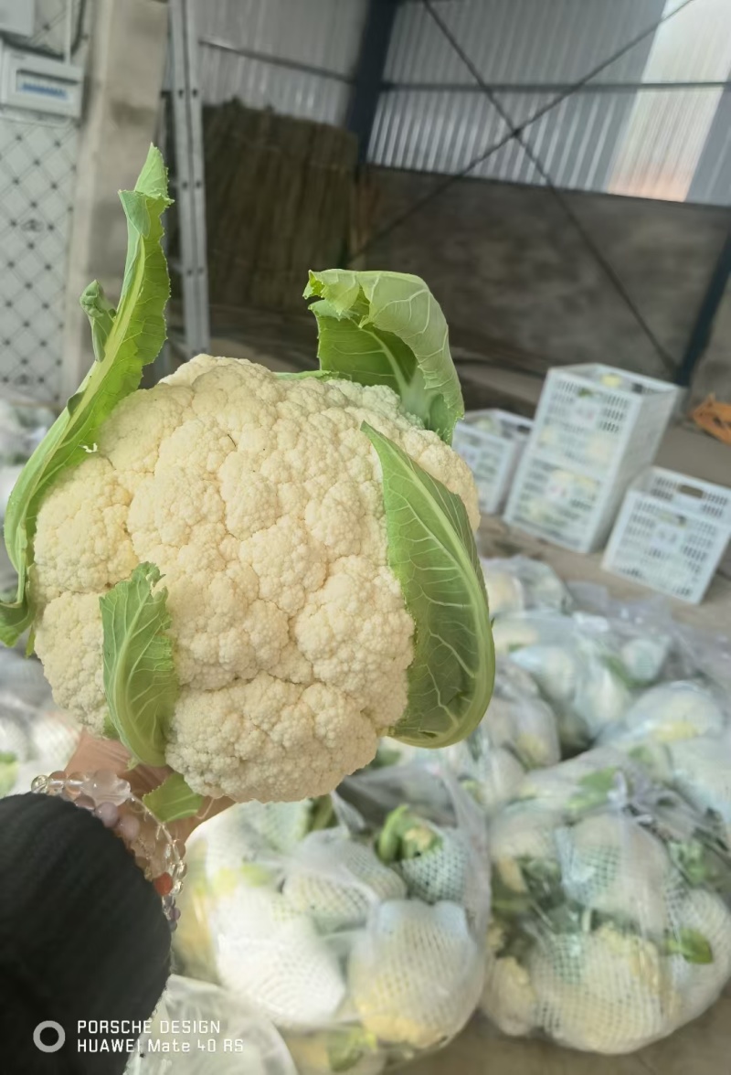花菜松花菜青梗小米花菜湖北散花产地直发支持视频