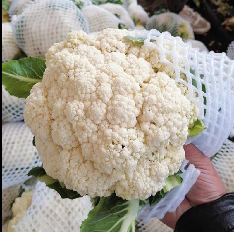 花菜松花菜青梗小米花菜湖北散花产地直发支持视频