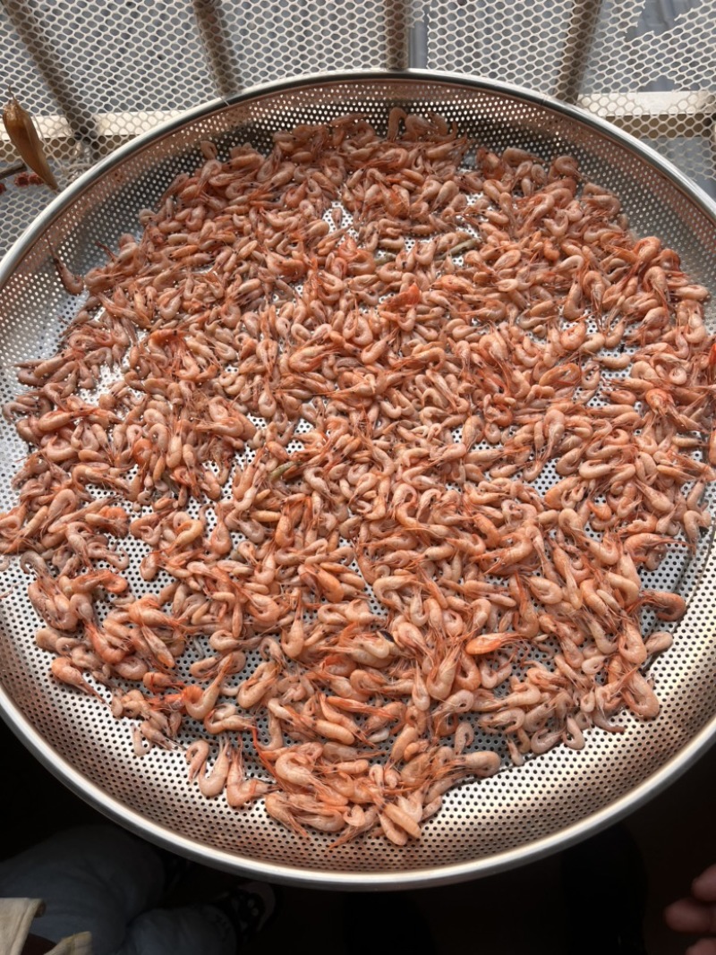 河虾，虾干，干虾