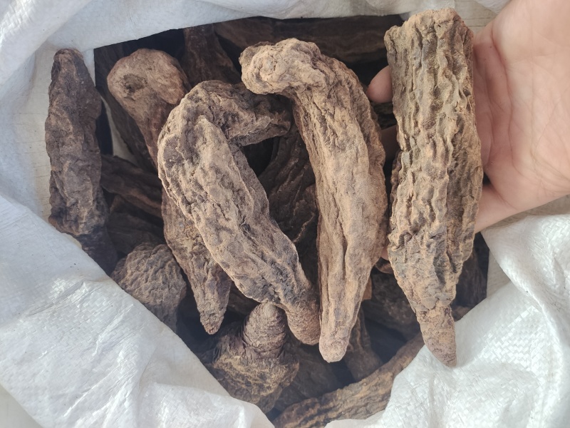 内蒙金锁阳条片各个规格都有产地直发价格优惠