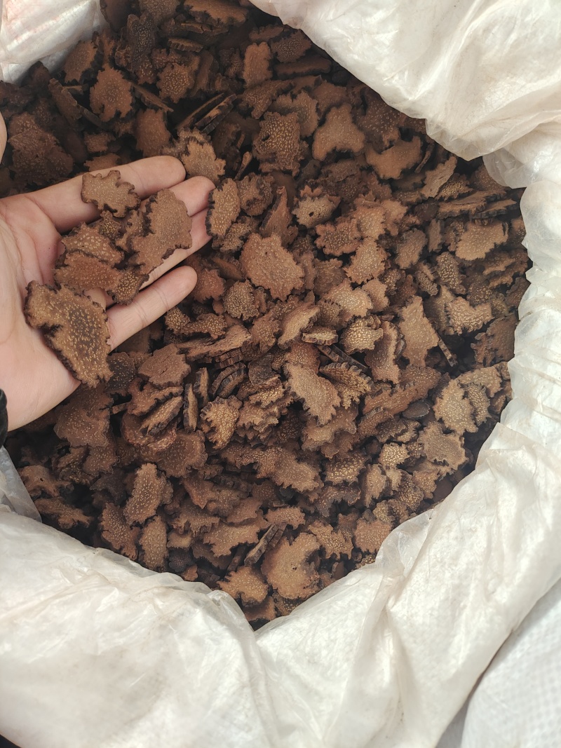 内蒙金锁阳条片各个规格都有产地直发价格优惠