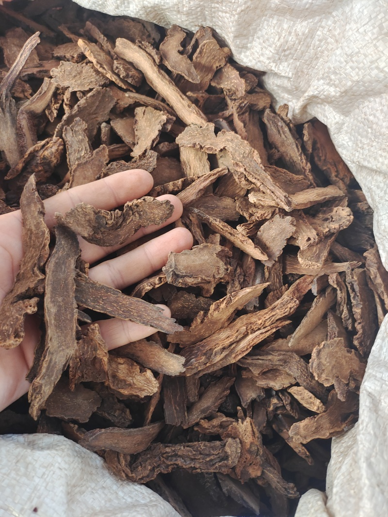 内蒙金锁阳条片各个规格都有产地直发价格优惠