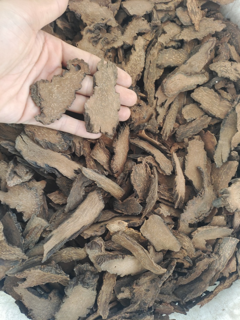 内蒙金锁阳条片各个规格都有产地直发价格优惠