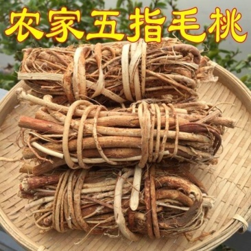 正宗河源野生五指毛桃根五指毛桃批发***无硫泡酒煲汤