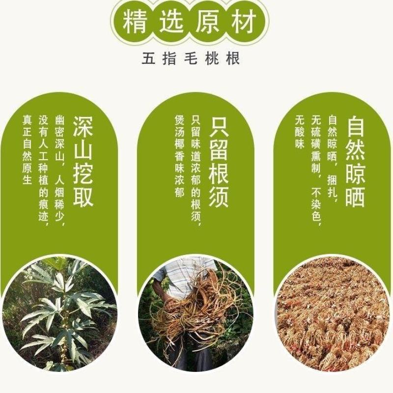 正宗河源野生五指毛桃根五指毛桃批发***无硫泡酒煲汤