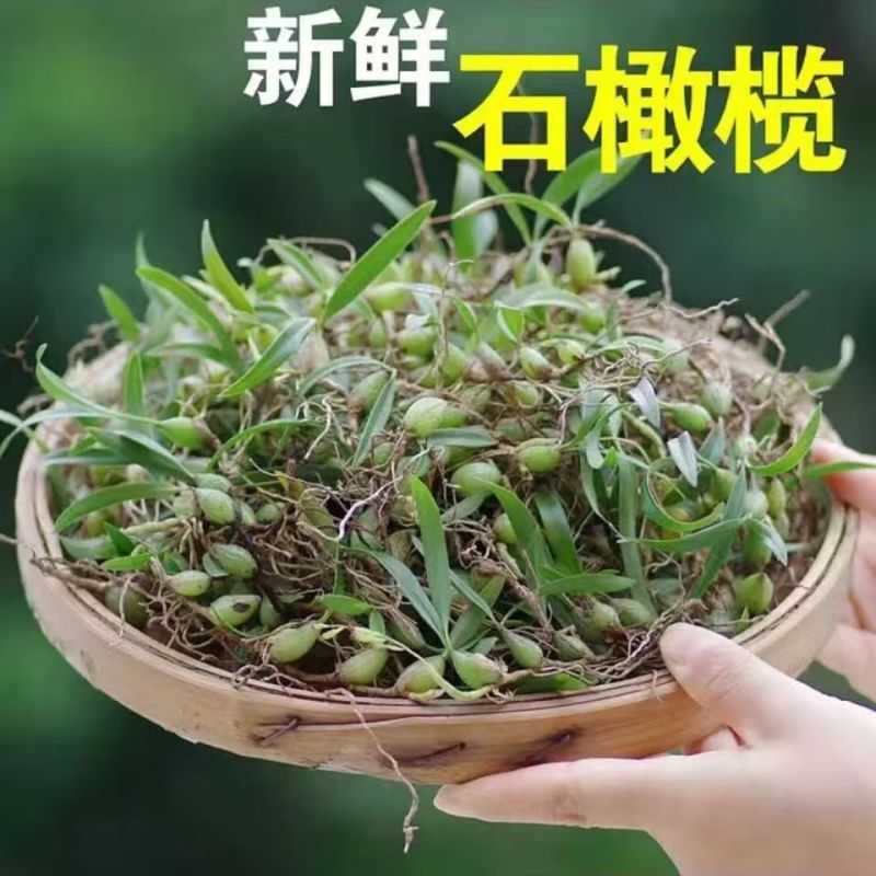 现采石橄榄新鲜双叶单叶中果500g果上叶煲汤小炖汤养生材