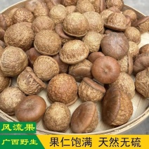 风流果广西野生风流子风流干果龟头子石头果泡酒料专用中药材