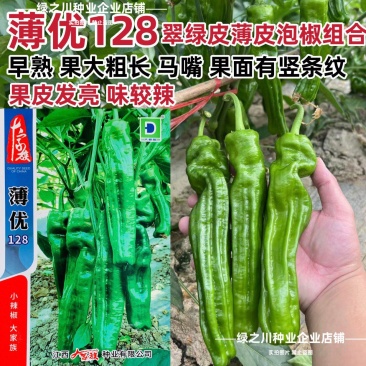 大家族薄皮椒种子薄优128薄皮辣椒种子特大果泡椒种子翠绿