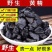 九华山深山野生制黄精年九蒸九晒野生黄精油头辟谷肉黄精即食