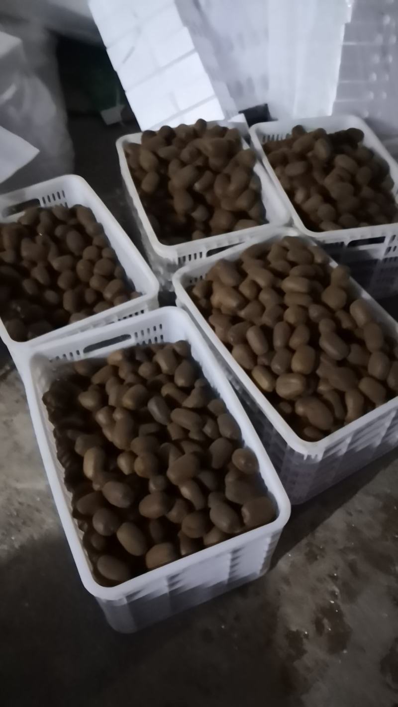 贵州修文贵长猕猴桃绿心奇异果现货新鲜