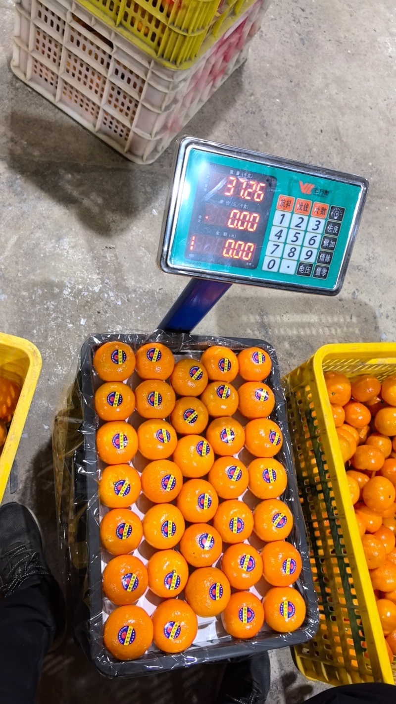 广西沃柑大量有货，精品果，二级果，口感非常甜，质量好