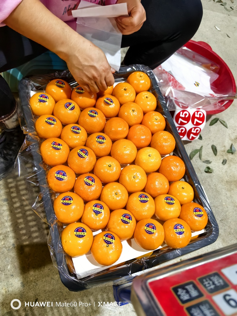 广西沃柑大量有货，精品果，二级果，口感非常甜，质量好