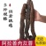 肉苁蓉整根阿拉善泡酒料滋补品内蒙古正品油苁蓉软大芸非锁阳