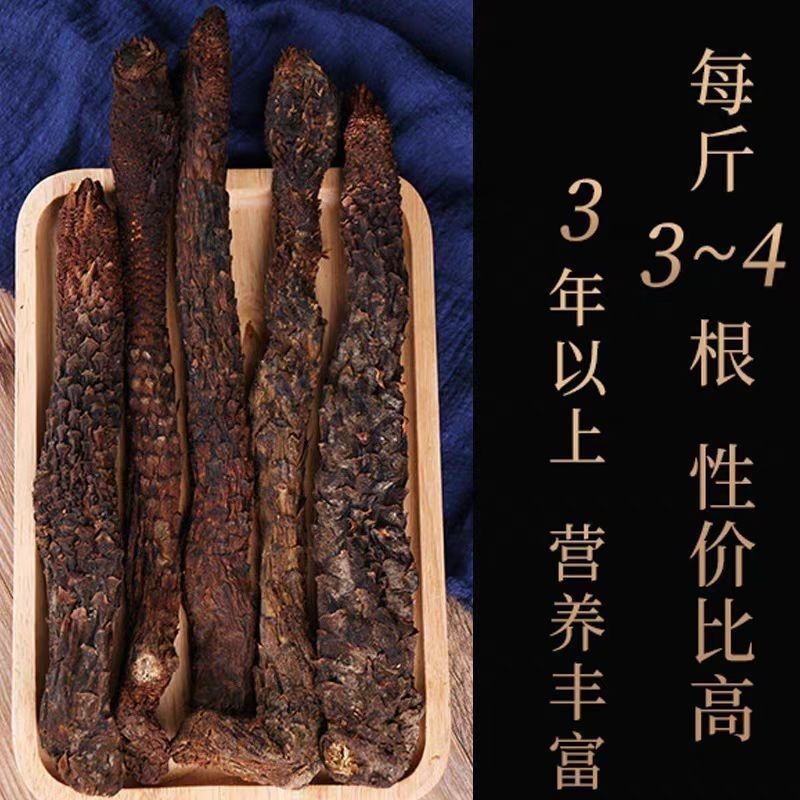 肉苁蓉整根阿拉善泡酒料滋补品内蒙古正品油苁蓉软大芸非锁阳