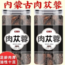 阿拉善油蓉正宗泡酒食材正品肉苁蓉片阿拉善包邮发货沙漠肉