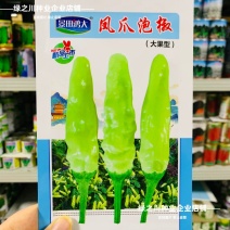 小米辣泡椒种子特辣大果型凤爪泡椒白米辣种籽香辣朝天椒种子