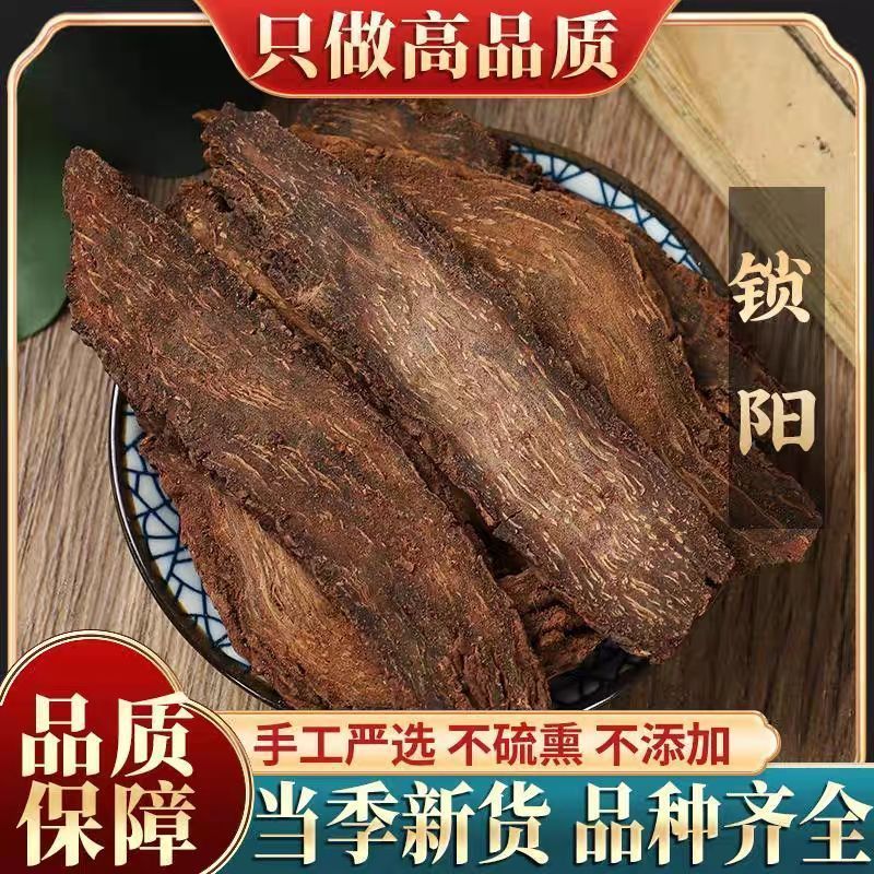 锁阳片中药材正宗大根锁阳切片正品锁阳泡酒整根切片泡水泡酒