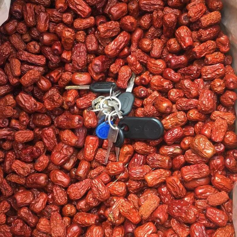 大量批发和田大枣四级皮皮枣饲料枣药用皮皮枣