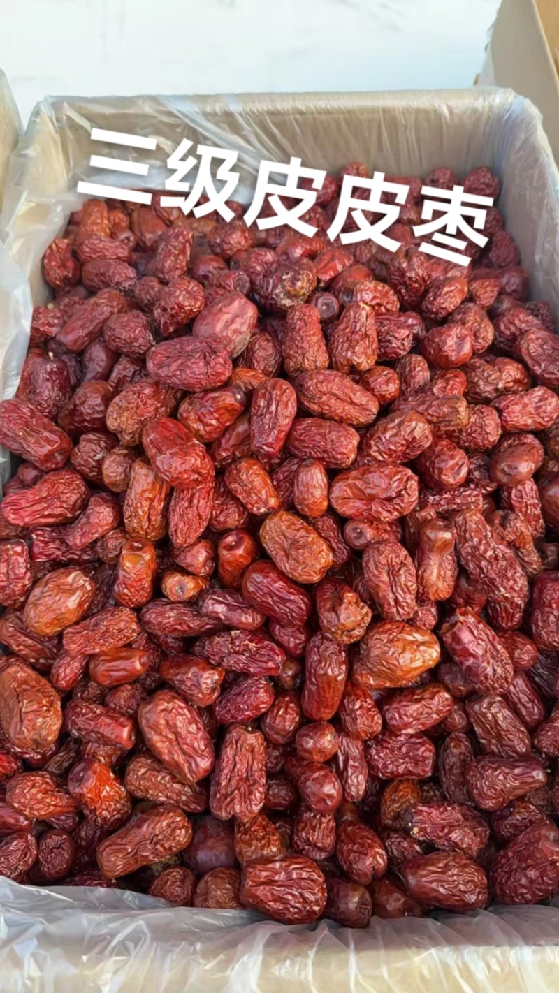 大量批发和田大枣四级皮皮枣饲料枣药用皮皮枣