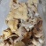 牛小肚牛小货工厂批发零售诚招代理商可发样品质量保证欢迎咨