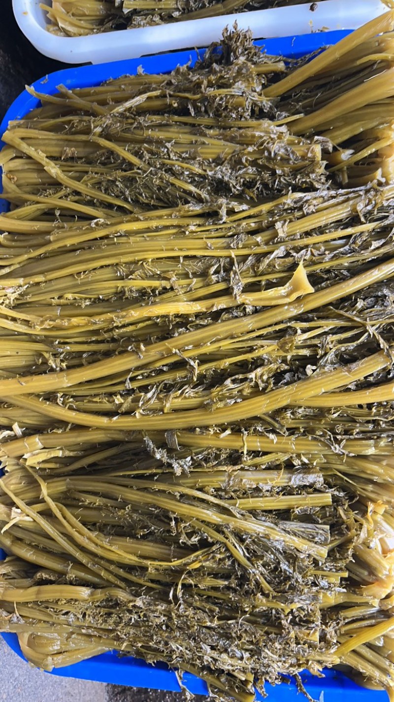 腌制雪里蕻盐菜，大量供应保证质量欢迎电话联系