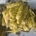 腌制雪里蕻盐菜，大量供应保证质量欢迎电话联系