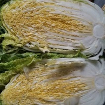 黄心大白菜大量上市，价格便宜，毛毛钱，有需要的可以联系