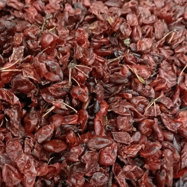 枣皮，优质山茱萸上千种药材批发，专注做中药多年