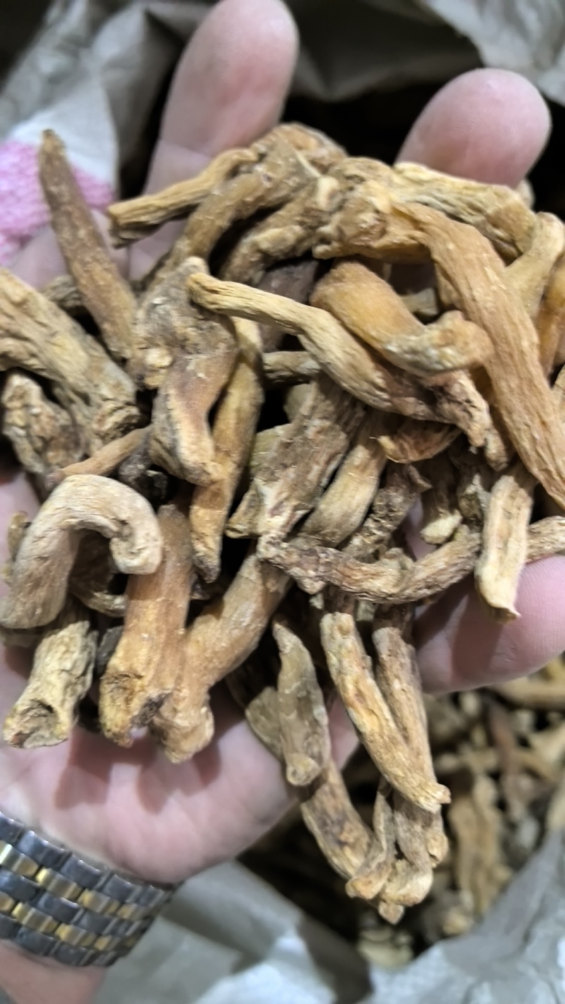 大量供应东北鸡头黄精干货产地直供欢迎老板咨询致电！