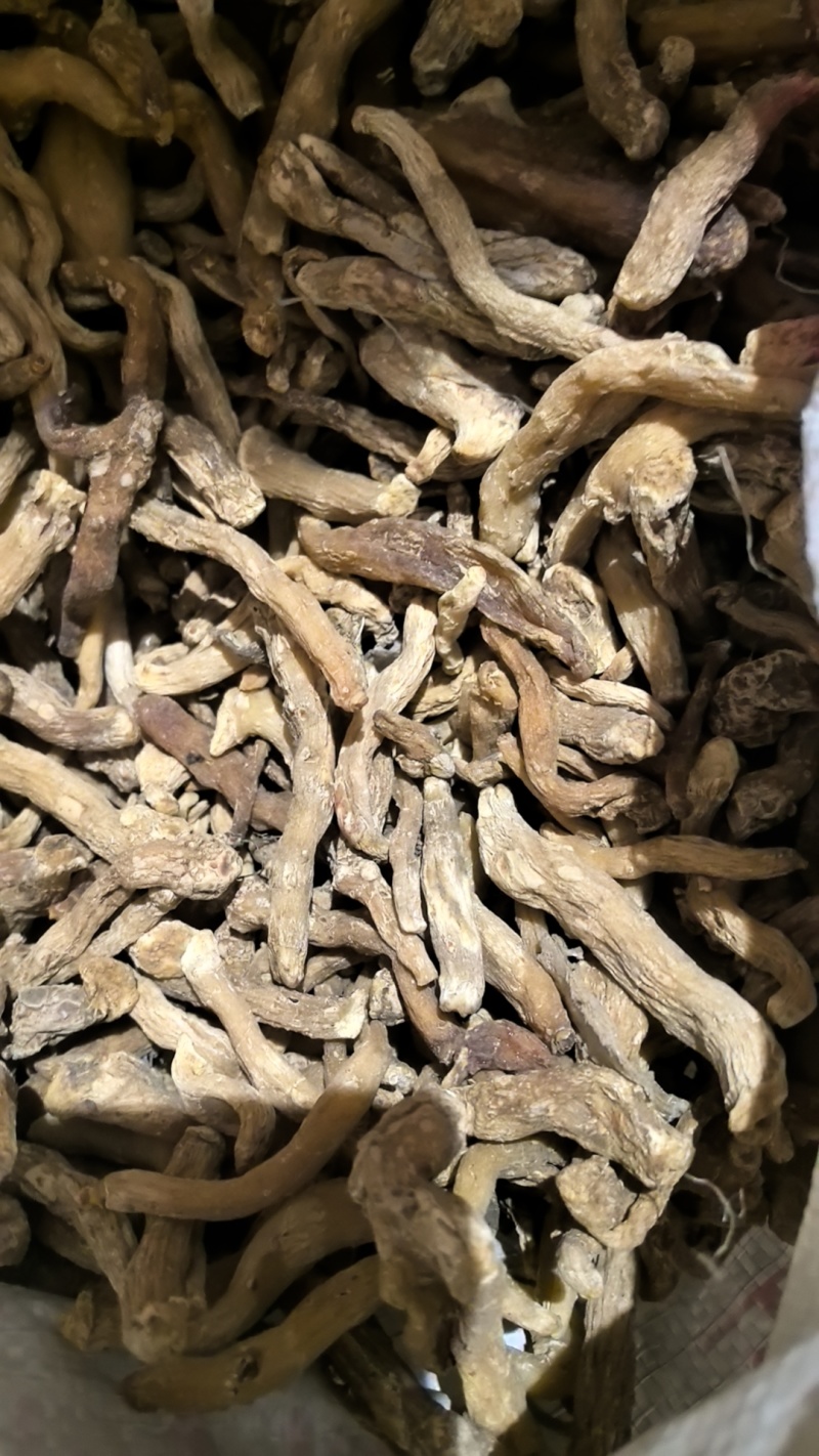 大量供应东北鸡头黄精干货产地直供欢迎老板咨询致电！