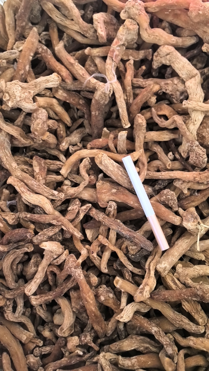 大量供应东北鸡头黄精干货产地直供欢迎老板咨询致电！