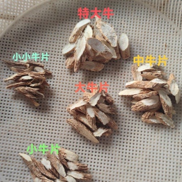 牛大力片