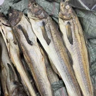 柴鱼干财鱼干煲汤煲粥好配料有量批发零售