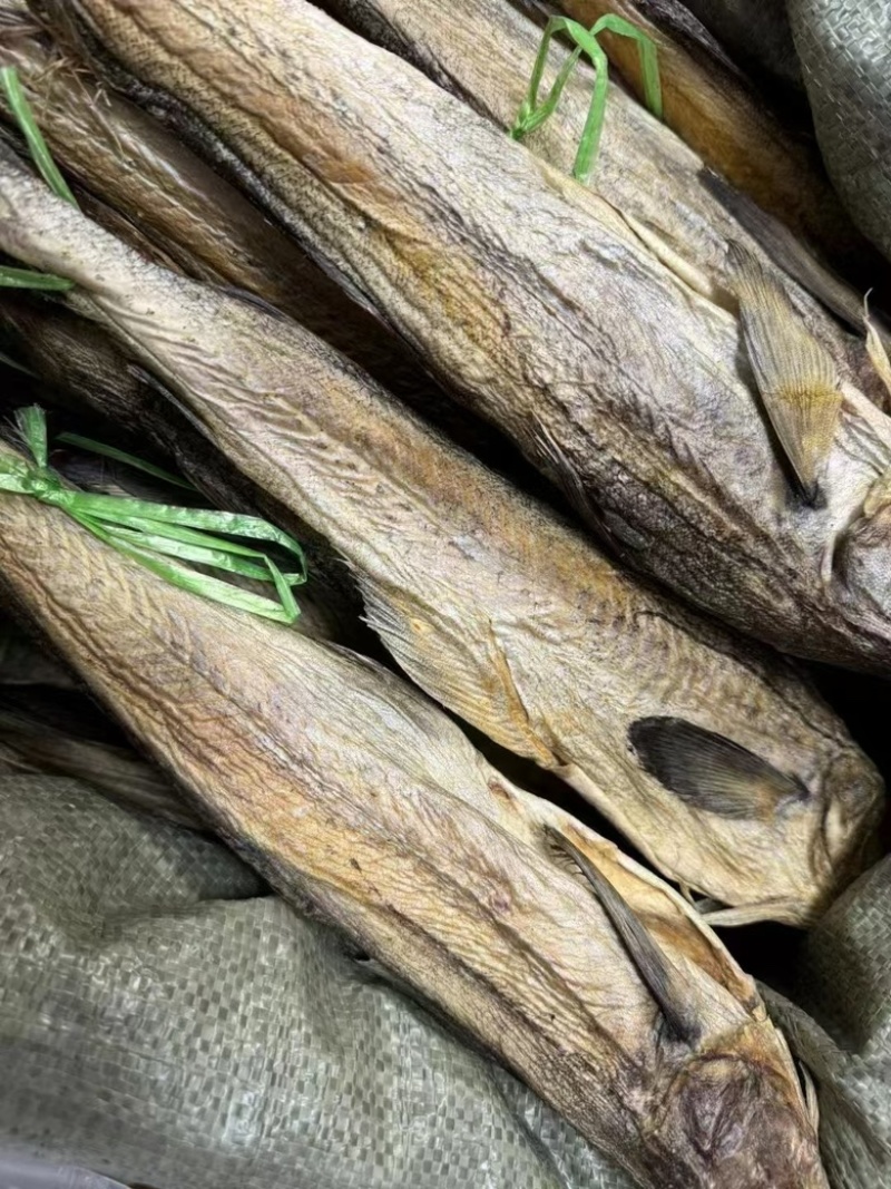 柴鱼干财鱼干煲汤煲粥好配料有量批发零售